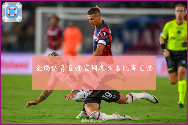 企鹅体育直播官网怎么看比赛直播