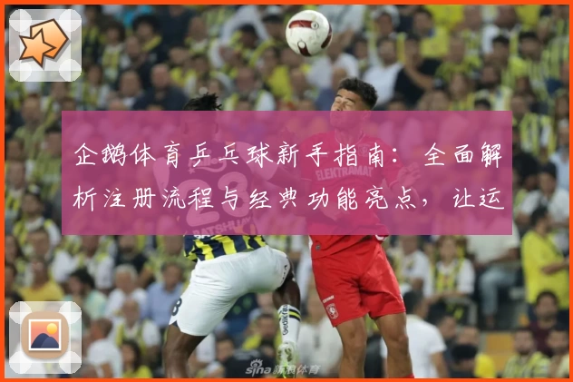 企鹅体育乒乓球新手指南:全面解析注册流程与经典功能亮点,让运动爱好者轻松上手