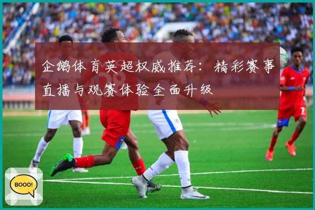 企鹅体育英超权威推荐：精彩赛事直播与观赛体验全面升级