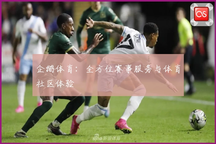 企鹅体育:全方位赛事服务与体育社区体验
