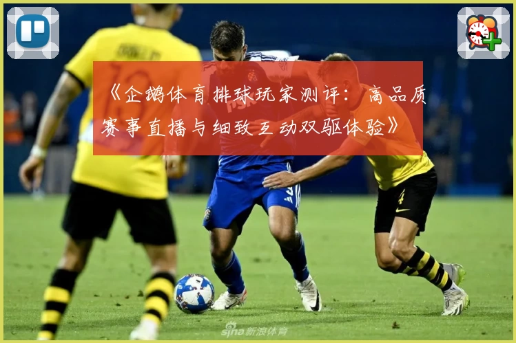 《企鹅体育排球玩家测评：高品质赛事直播与细致互动双驱体验》