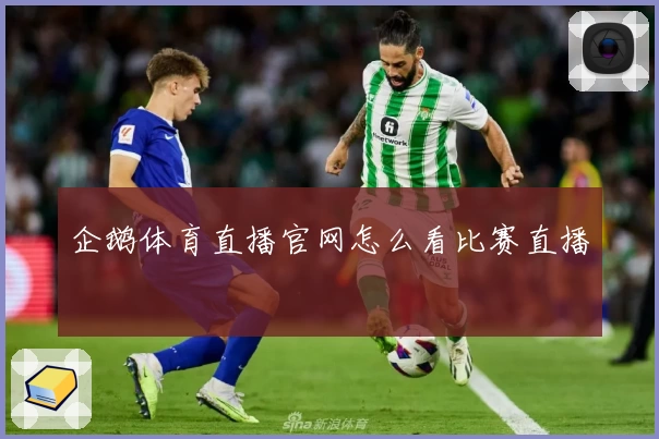 企鹅体育直播官网怎么看比赛直播