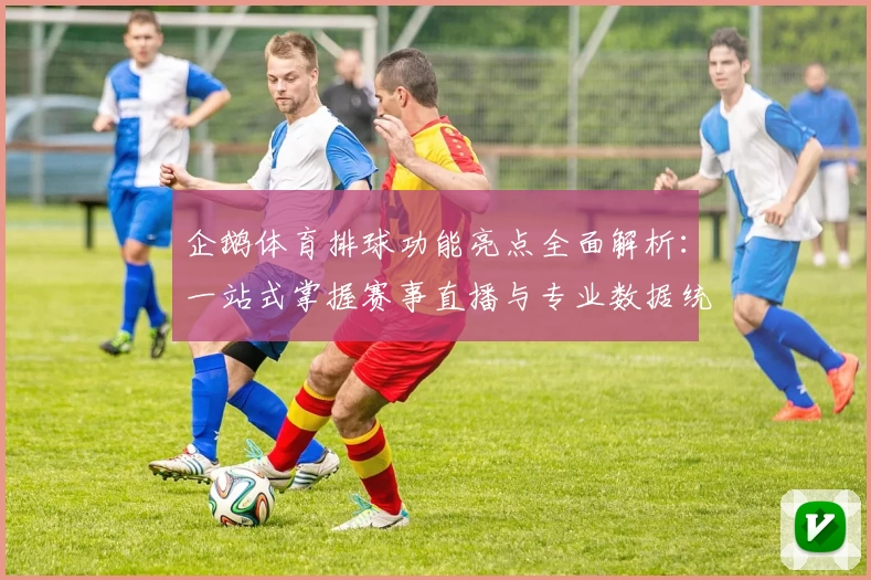 企鹅体育排球功能亮点全面解析:一站式掌握赛事直播与专业数据统计