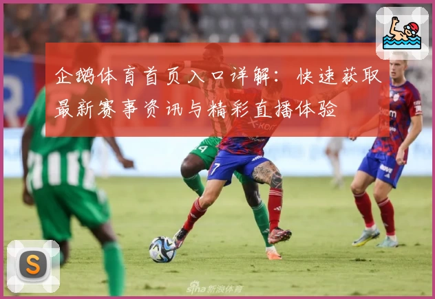 企鹅体育首页入口详解：快速获取最新赛事资讯与精彩直播体验