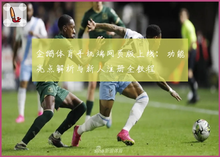 企鹅体育手机端网页版上线：功能亮点解析与新人注册全教程