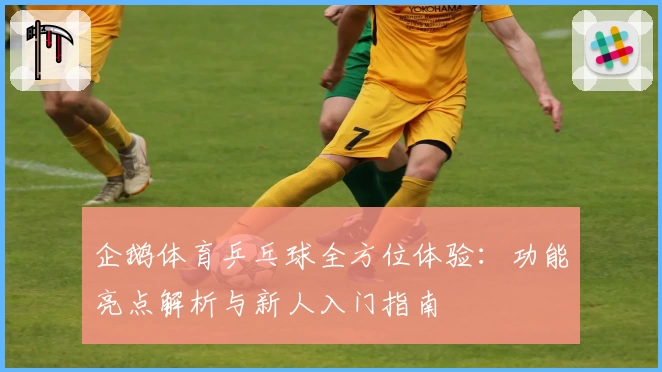 企鹅体育乒乓球全方位体验：功能亮点解析与新人入门指南
